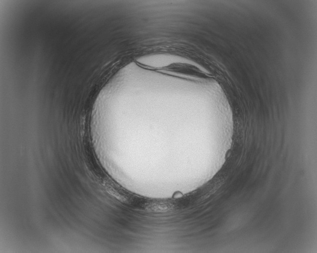 X0000082750652200702162001