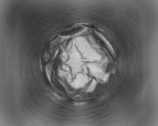 X0000082750653200702162001