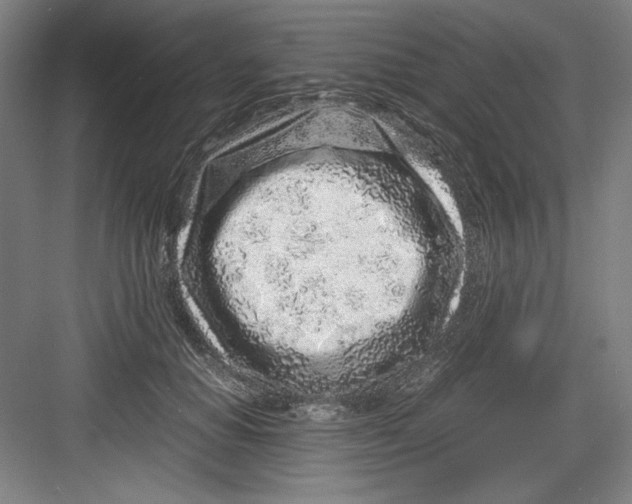 X0000082750654200702162001