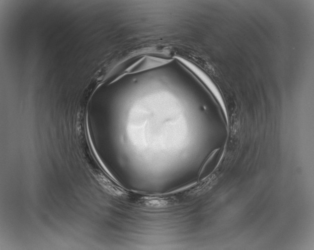 X0000082750658200702162001