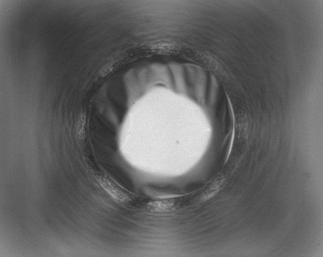 X0000082750660200702162001
