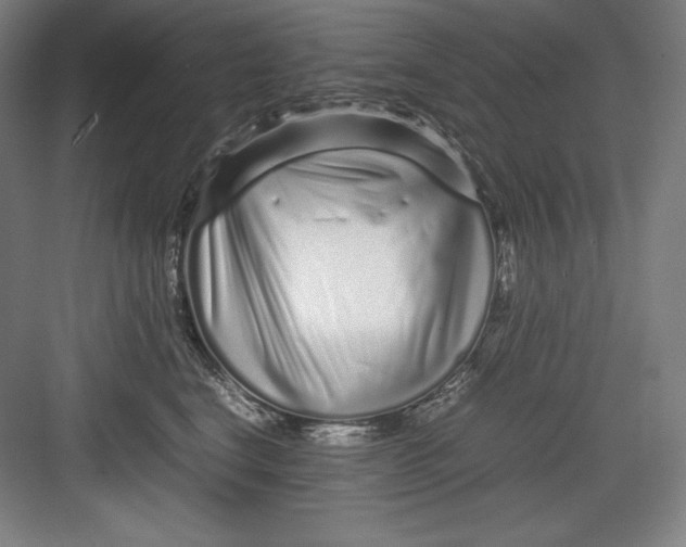 X0000082750664200702162001