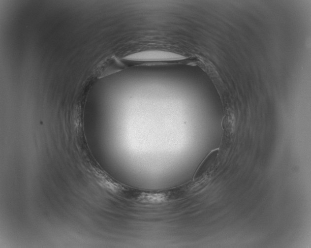 X0000082750665200702162001