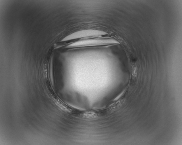 X0000082750666200702162001