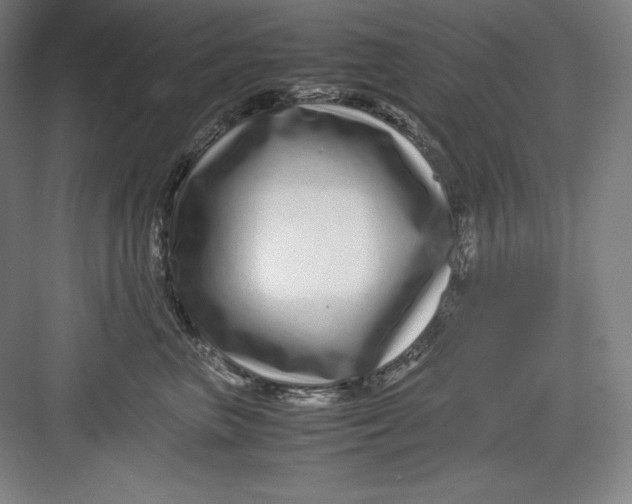 X0000082750667200702162001