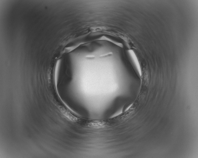 X0000082750668200702162001