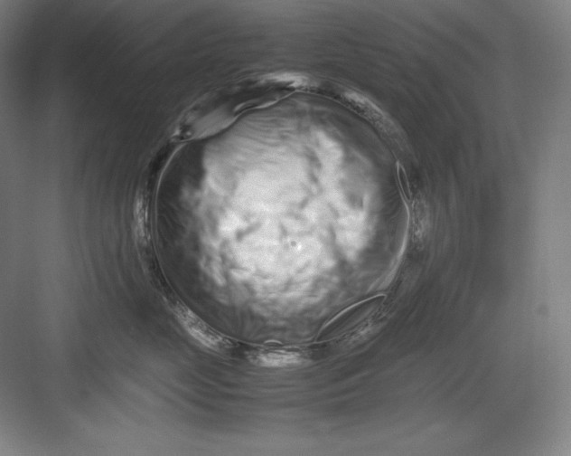 X0000082750669200702162001