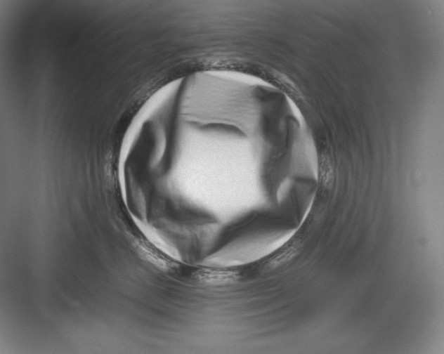 X0000082750670200702162001