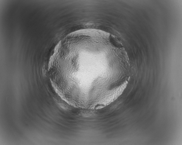 X0000082750671200702162001