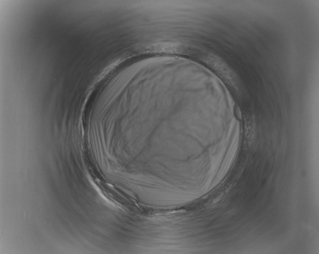 X0000082750674200702162000