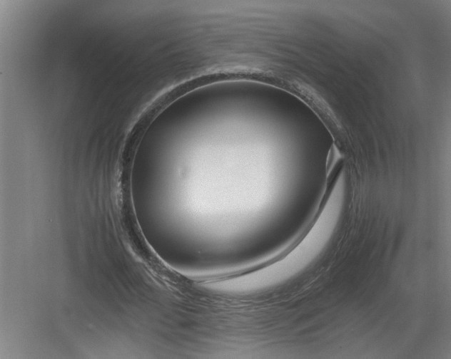 X0000082750676200702162000