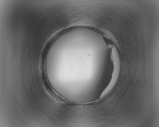 X0000082750680200702162000
