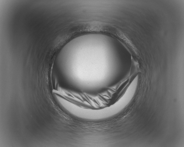 X0000082750681200702162000