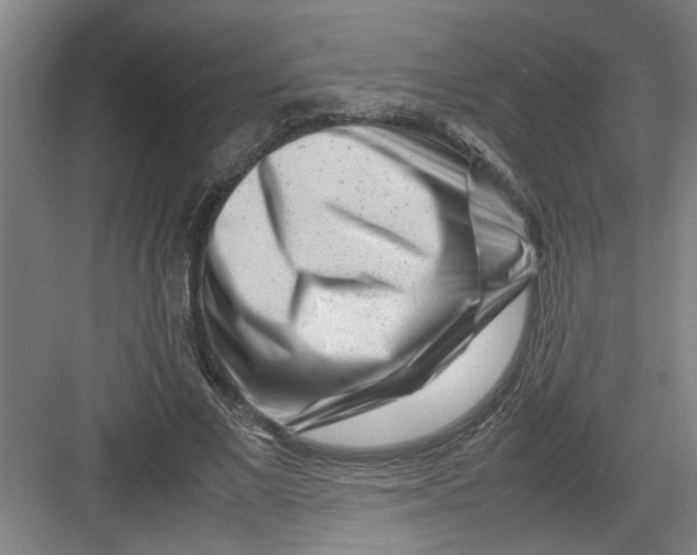 X0000082750685200702162000
