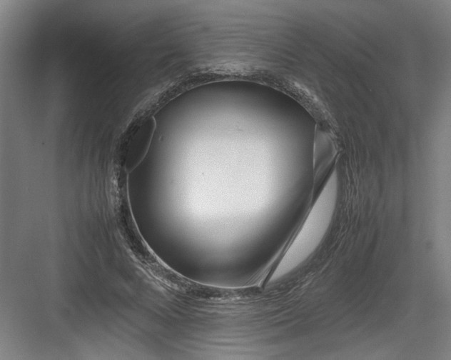 X0000082750688200702162000