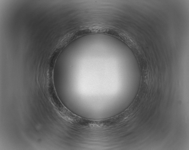 X0000082750690200702162000