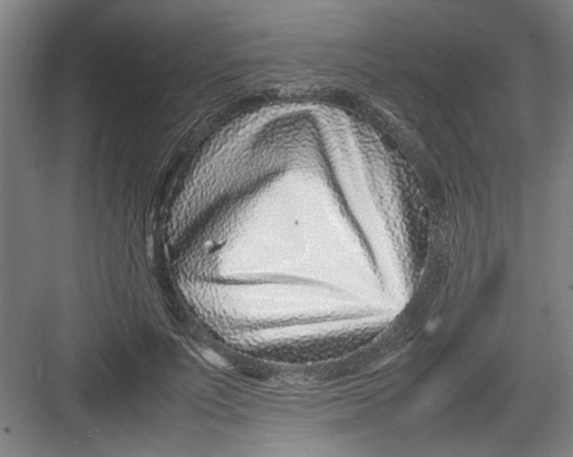 X0000082750691200702162000