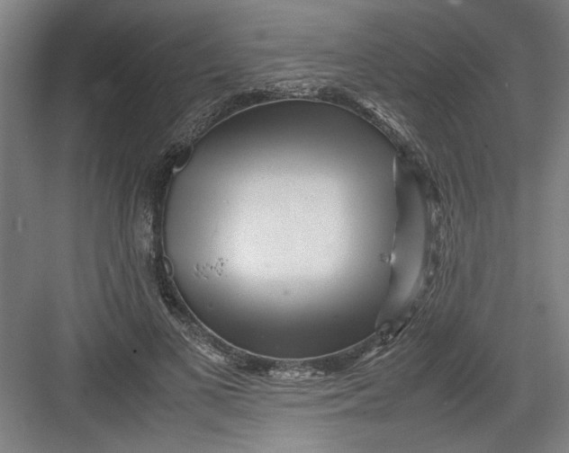 X0000082750693200702162000