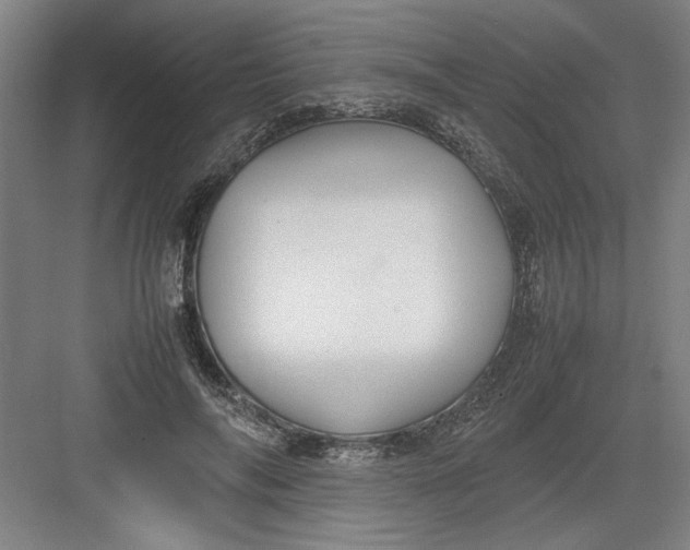 X0000082750694200702162000