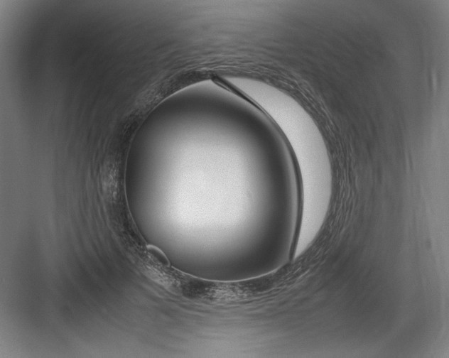 X0000082750697200702162000