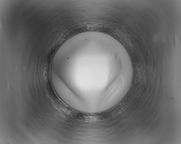 X0000082750698200702162000