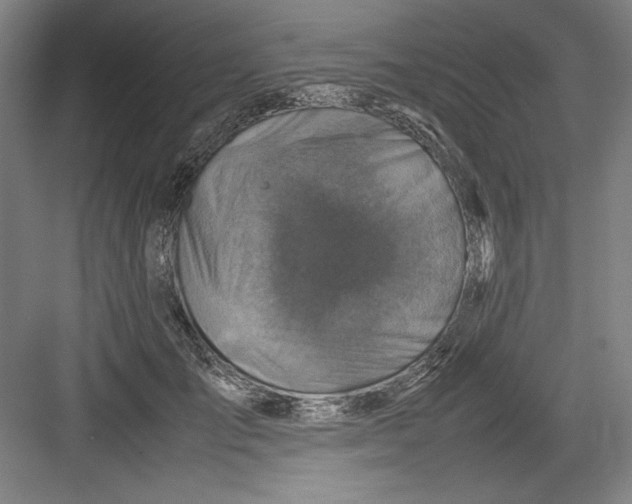 X0000082750701200702162000