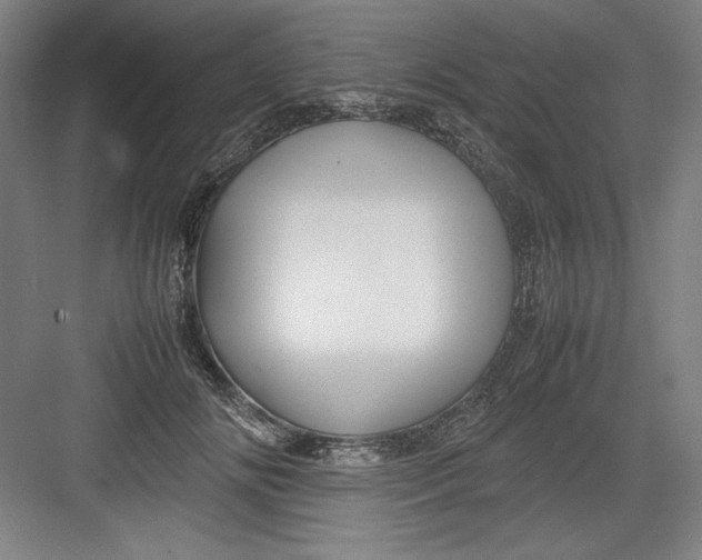 X0000082750702200702162000