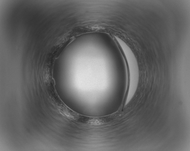 X0000082750704200702162000