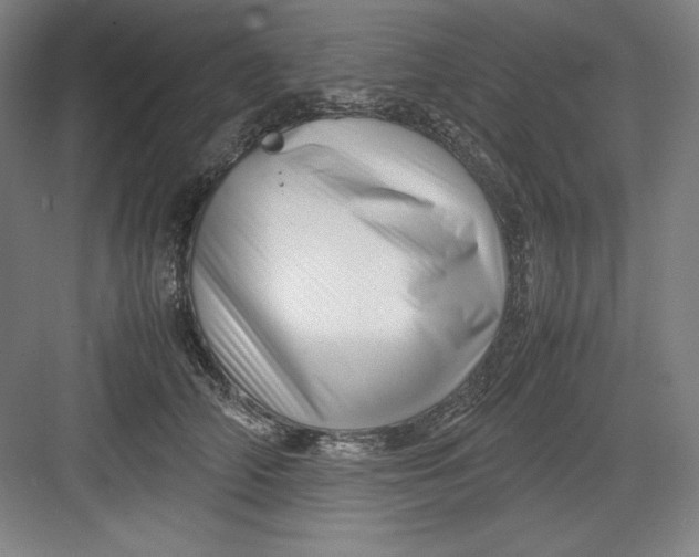 X0000082750706200702162000