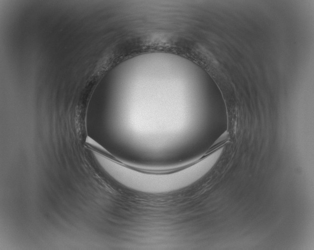 X0000082750708200702162000