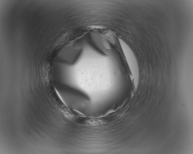 X0000082750712200702161959