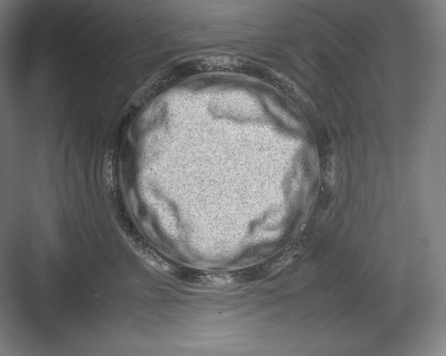 X0000082750715200702161959