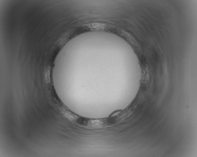 X0000082750717200702161959