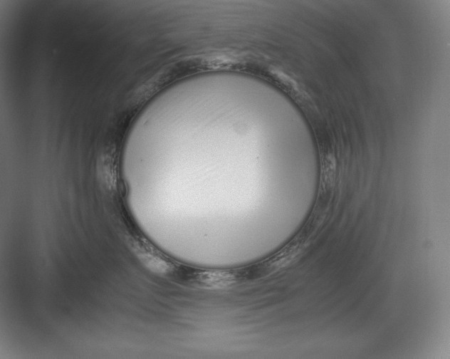 X0000082750719200702161959