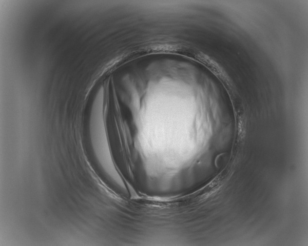 X0000082750725200702161959