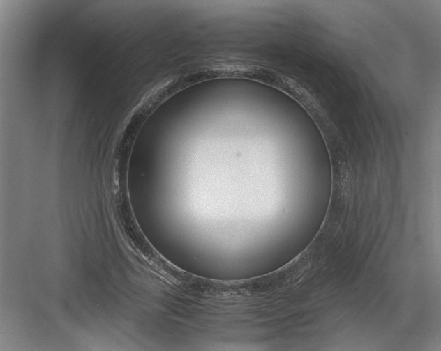 X0000082750731200702161959