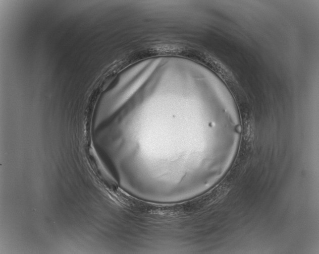 X0000082750733200702161959