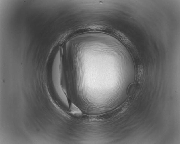 X0000082750734200702161959