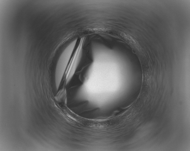 X0000082750735200702161959