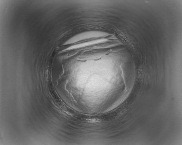 X0000082750741200702161959