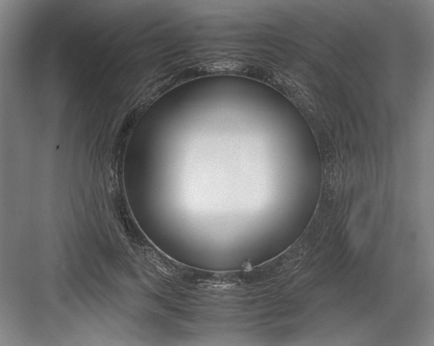X0000082750743200702161959