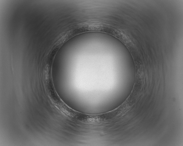 X0000082750744200702161959