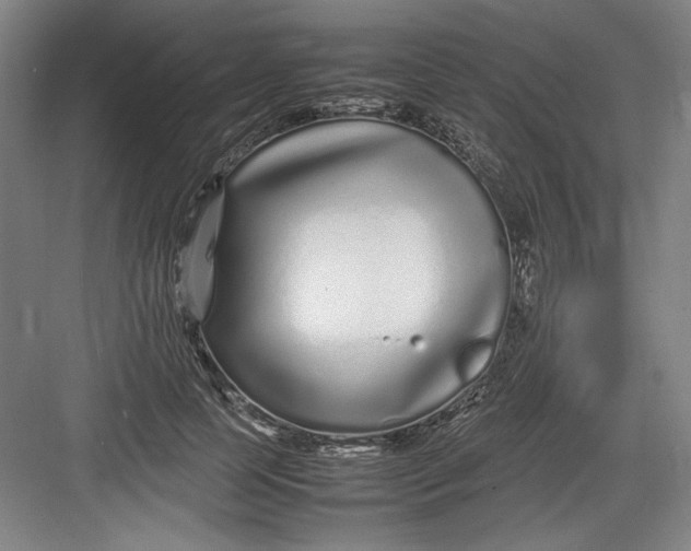 X0000082750745200702161959