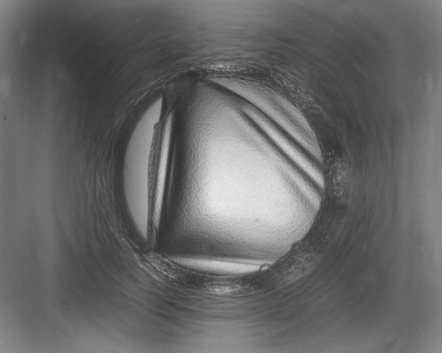 X0000082750746200702161959