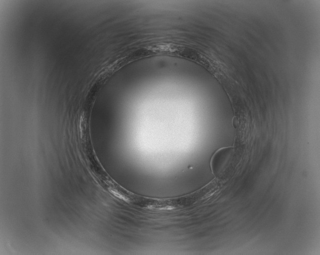 X0000082750747200702161959