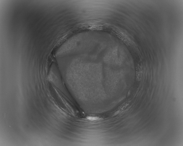 X0000082750748200702161959