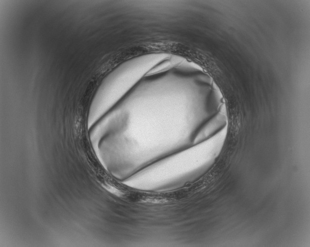 X0000082750749200702161959