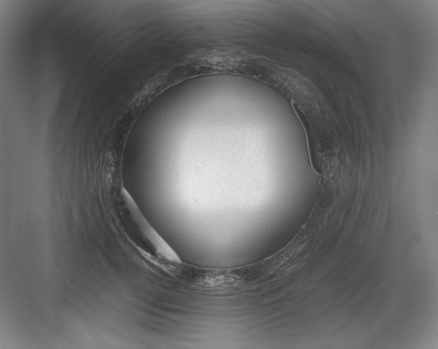 X0000082750752200702161959