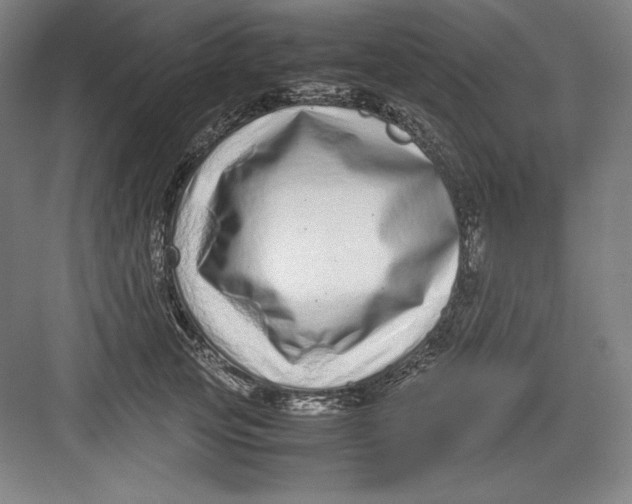 X0000082750753200702161959