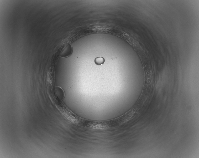 X0000082750755200702161959